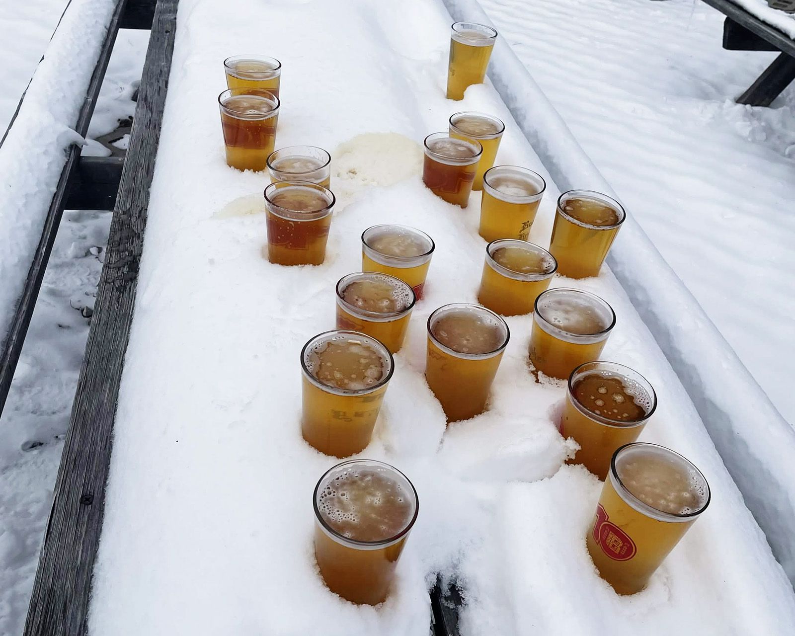 Cups of beer chilling in the snow on a picnic table